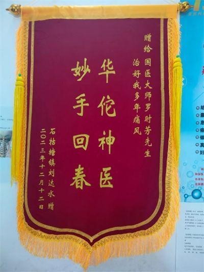 聚焦两会特别报道 著名中医专家---罗时芳