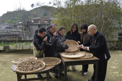 康之和苗药冯文龙：厚植苗药传承底蕴，赋能民族医药高质量发展