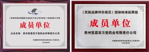 康之和苗药冯文龙：厚植苗药传承底蕴，赋能民族医药高质量发展