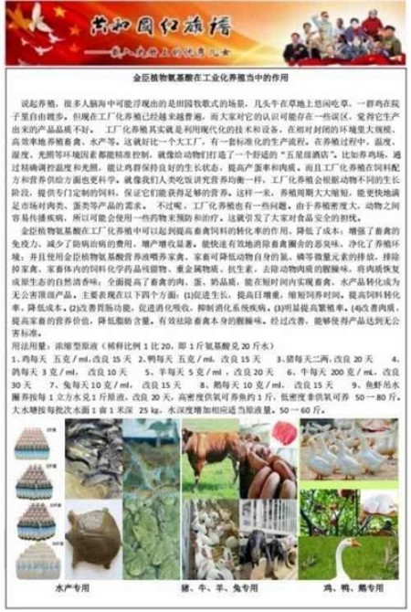 聚焦两会·企业力量｜金臣科技：解锁“科技+生态+健康”协同发展新密码